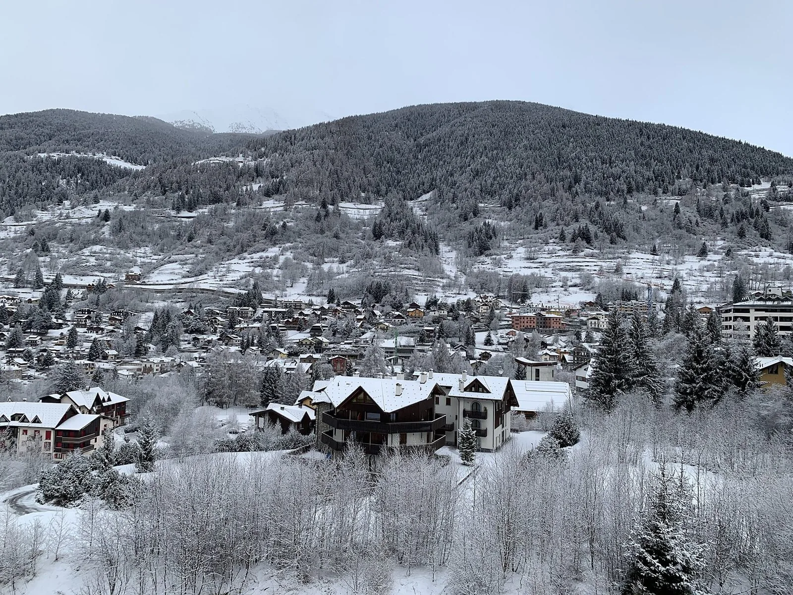 Ponte di Legno coperto di neve, con case e boschi imbiancati
