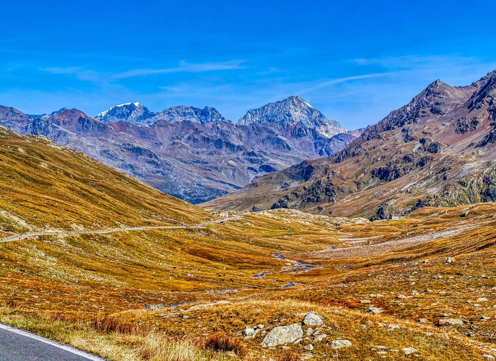 La strada del Passo di Gavia tra praterie d'alta quota e cime rocciose